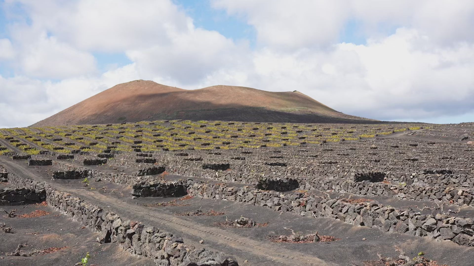 Evento de clausura de nuestro 250 aniversario Bodegas El Grifo Lanzarote