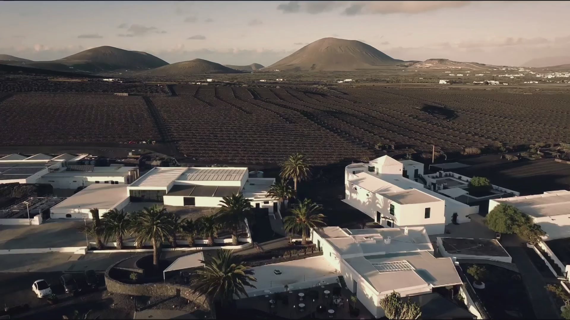 El Grifo Lanzarote 1775 Wine Tourism Wine taste Wines of Lanzarote Winery in Lanzarote | Bodega Lanzarote