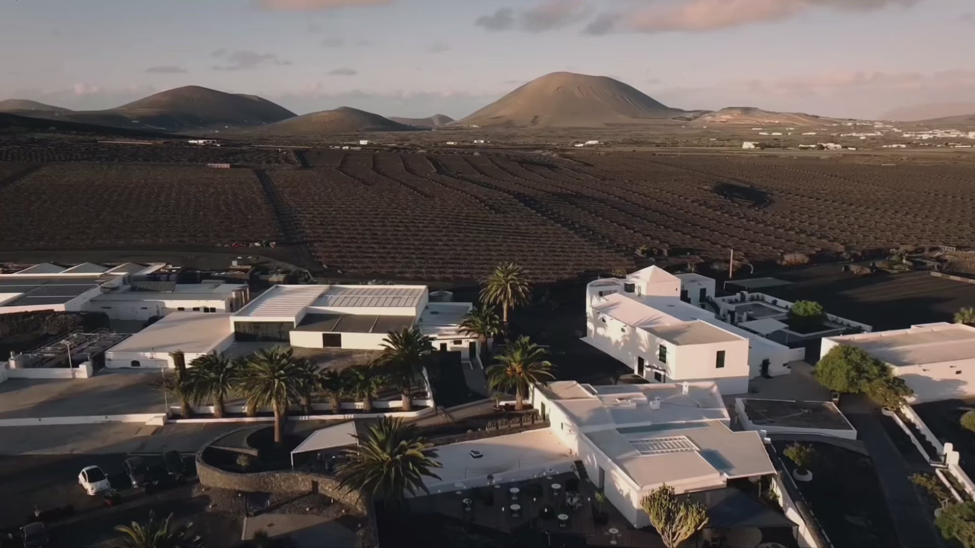 Bodegas El Grifo Lanzarote 1775 | Experiencias de enoturismo | Wine tourism | La Geria