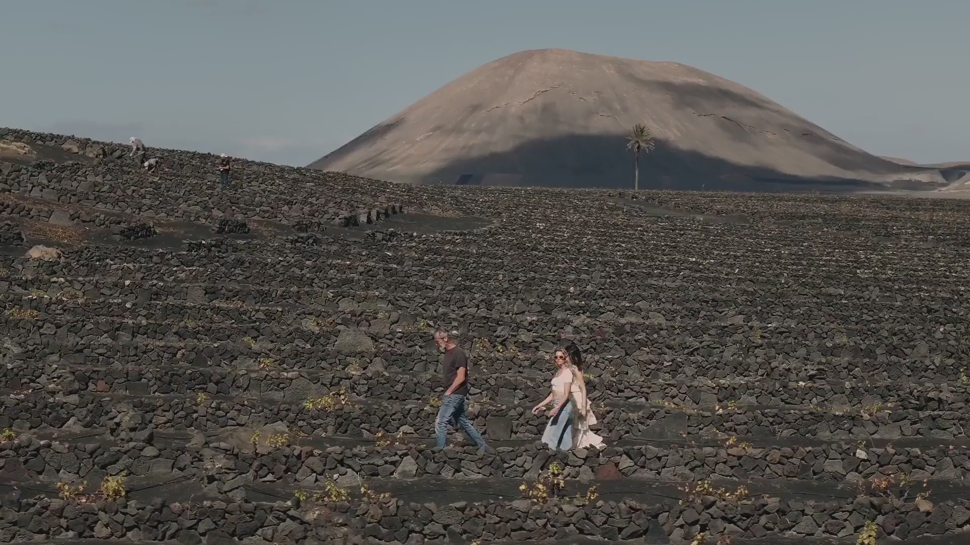 Visitar bodegas : Experiencia Viaje al Mundo de El Grifo | Lanzarote - una de las mejores excursiones lanzarote	