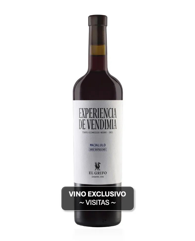 El Grifo Majalulo Experiencia de vendimia exclusiva para visitantes a la bodega
