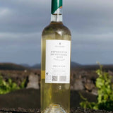 Vinbo Malvasia Volcanica Finca Ramon | El Grifo Lanzarote, Canarias