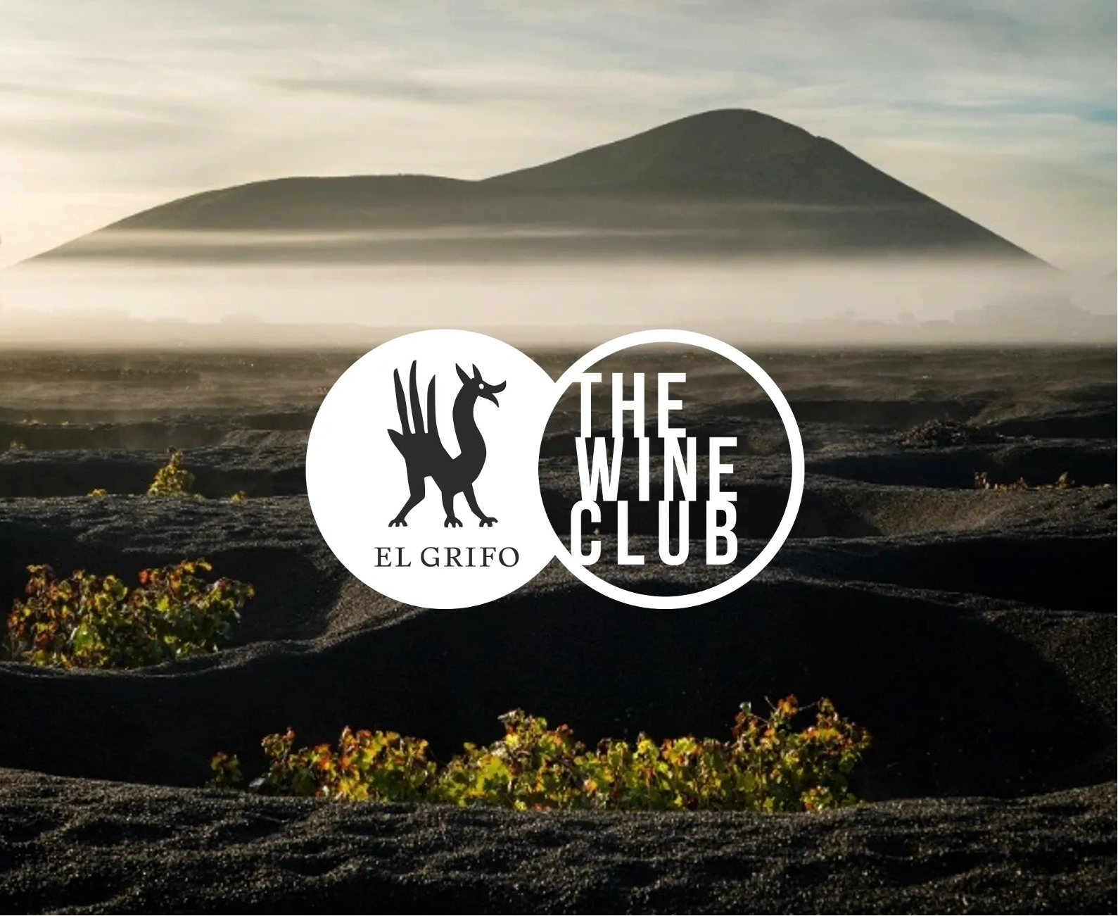El Grifo The Wine Club Lanzarote