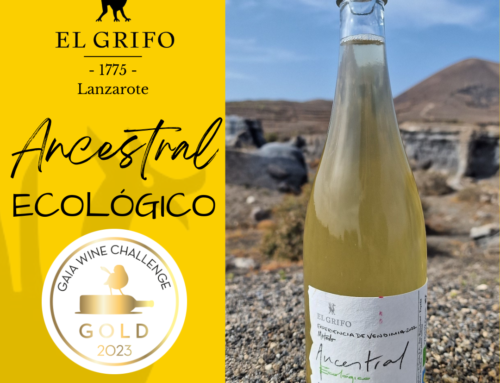 El Ancestral Ecológico, oro en el Gaia Wine Challenge, un concurso de vinos naturales que abrirá las puertas al mercado norteamericano