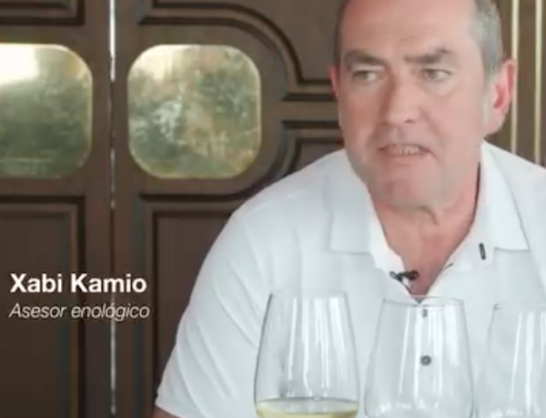 Los vinos atlánticos y su esencia, con Xabier Kamio (AZ3 Oeno)